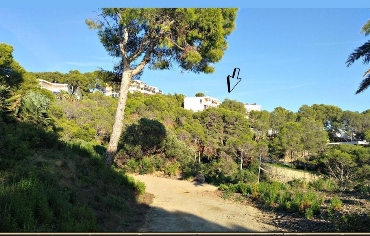 Aguila Dorada Apartment Salou Exterior photo
